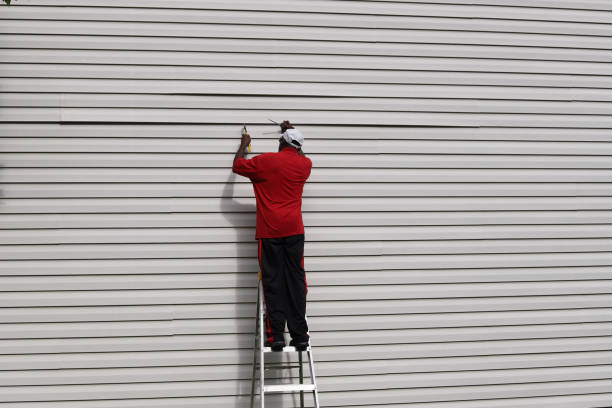 Best Siding Removal and Disposal  in Meadowbrook, AL