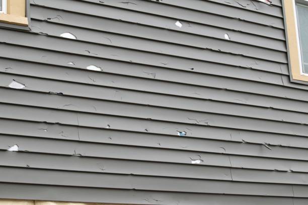 Best Fiber Cement Siding Installation  in Meadowbrook, AL