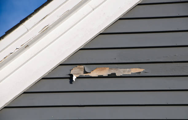 Best Residential Vinyl Siding Installation  in Meadowbrook, AL