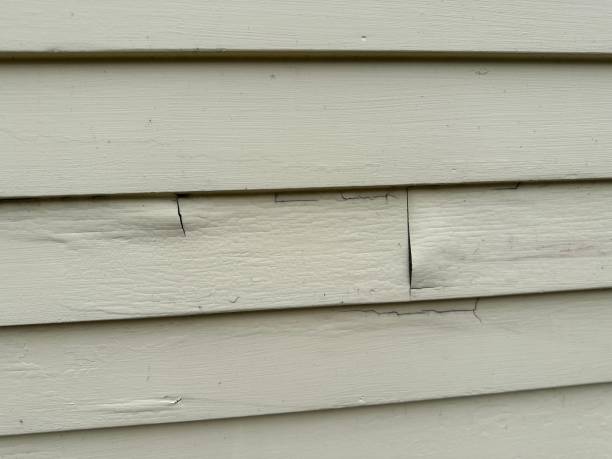 Meadowbrook, AL Siding Installation & Repair Company